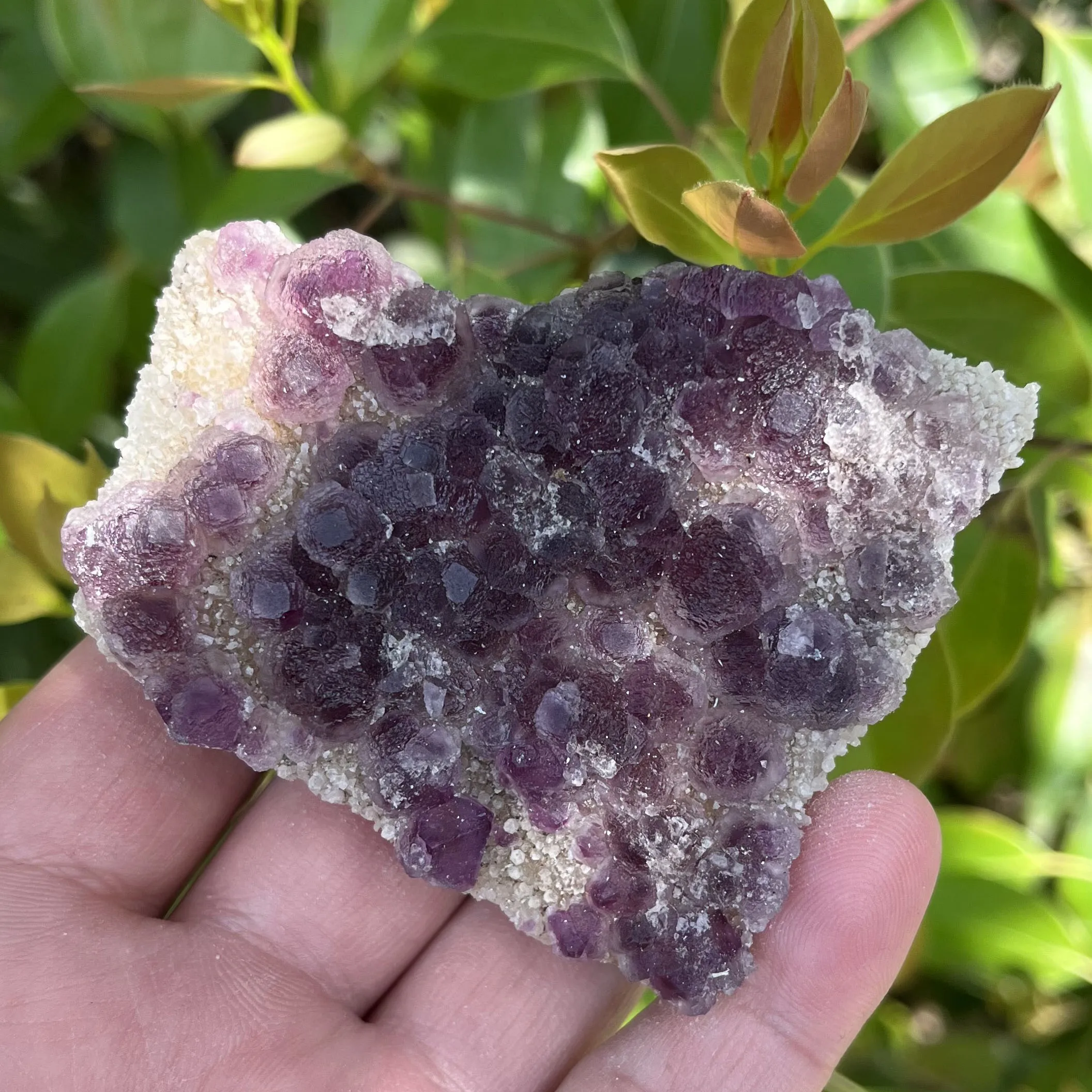 

100% Natural Zhejiang Octahedral Purple Fluorite Mineral Specimens Gemstones and Crystals Healing Crystals for Home Decor