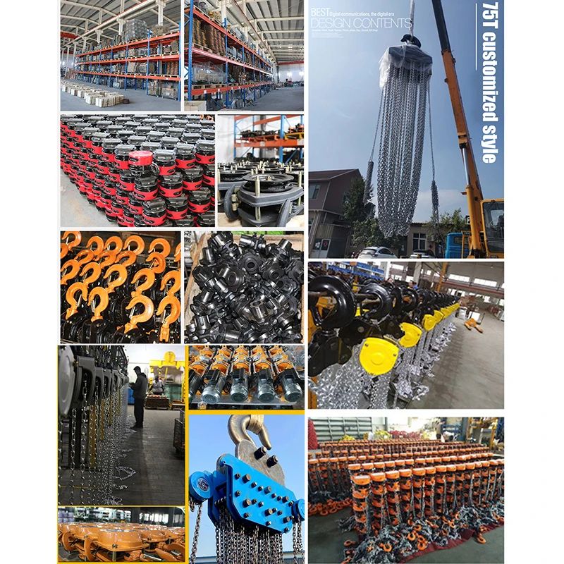 Hot Sales Lifting Equipment Manual Chain Block Hoist Price VD Manual Hand Pulley Chain Block 10 Ton 20m Vital Chain Pulley Block