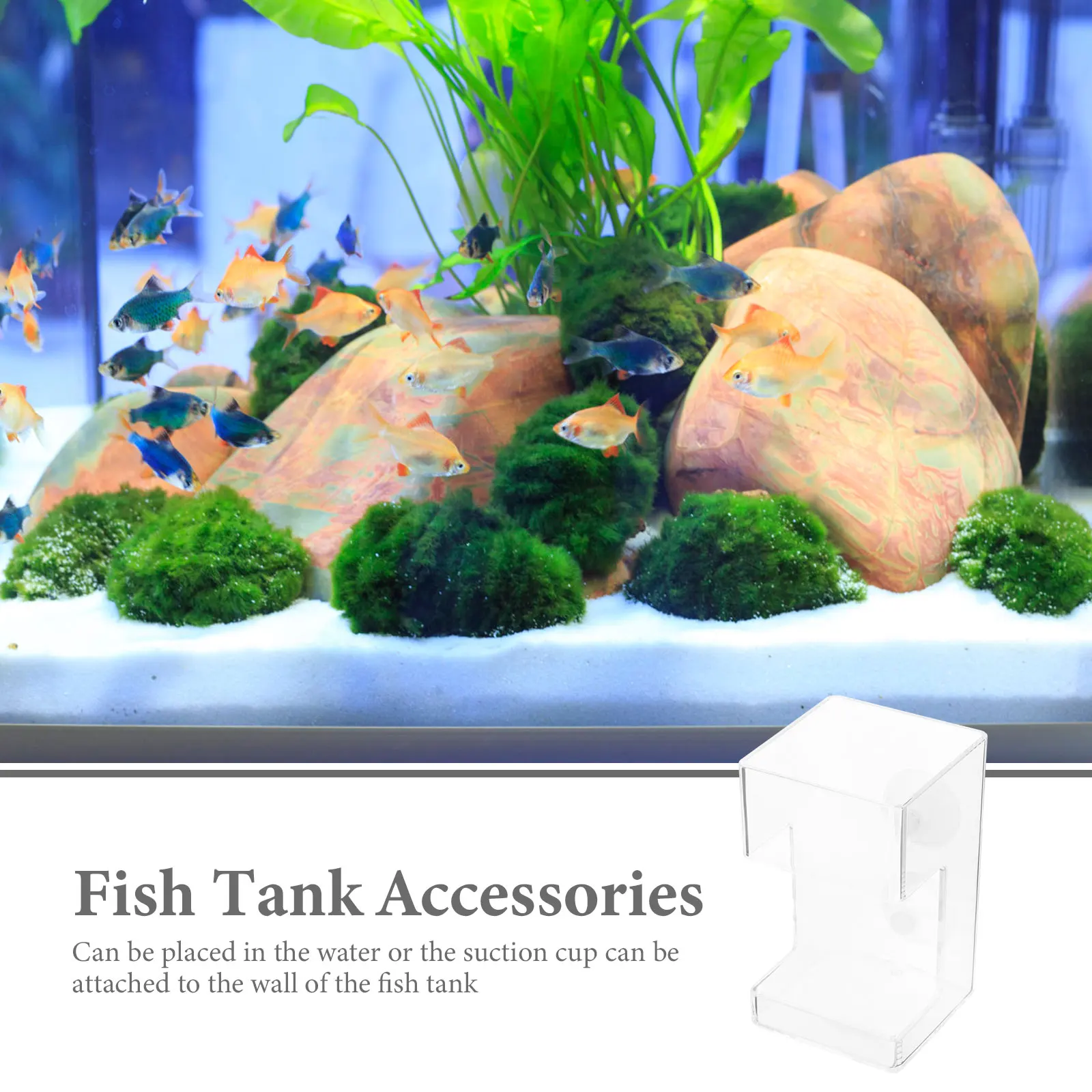 

Floating Fish Feeding Aquarium Accessory Tank Supplies Suction Cups Reusable Safe Convenient Fits Most