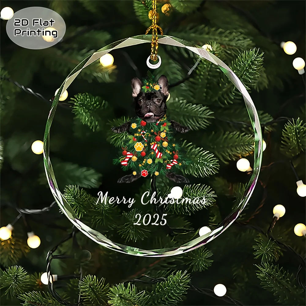 Decorazioni natalizie in cristallo con foto di cani decorate natalizie, scatole regalo con nastro dorato, eleganti pendenti souvenir, adatti