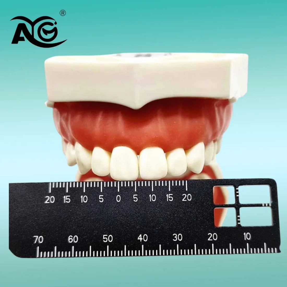 

Алюминиевая стоматологическая прецизионная измерительная линейка, медицинский инструмент для фотографии и стоматологии, поставщик, эндодонтические медицинские инструменты