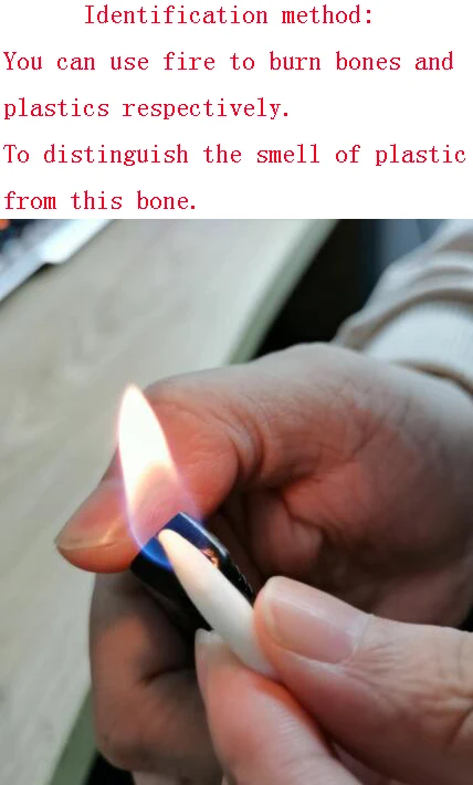 Wholesale 4.5-4.7cm Big Tooth 20Pcs/lot White Real Tibetan Wolf Tooth Teeth Charms Pendant for Bracelet Necklace Jewelry Making