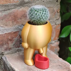 3D Printing Succulent Plant Pot Peeing Baby Plant Pot Funny Cute Cactus Indoor Plant Pot