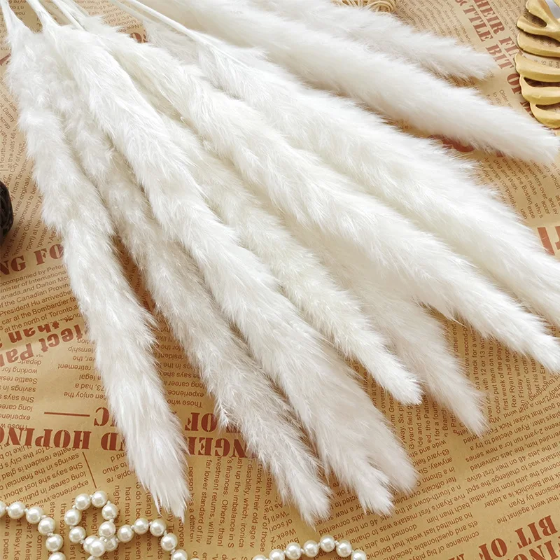 15Pcs/Lot Natural Dried Flower Dry Flowers Of Real Plants Small Pampas Grass Primary Color，White flore Wedding Home Decor Reed G