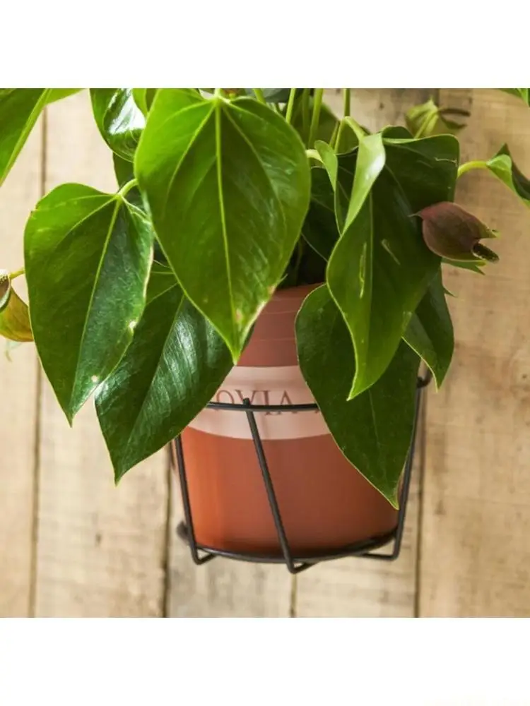 QX2E Iron Art Hanging Basket Flower Pot Holder Balcony Potted Plant Rack Planter