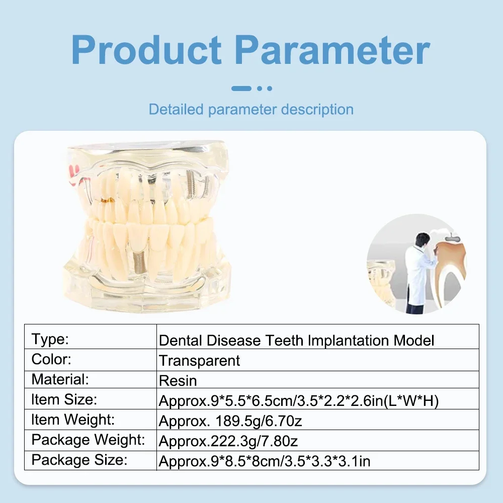 Denspay Dental Implantation Disease Teeth Mode with Restoration Bridge Tooth  Dentist Training and Teaching Model