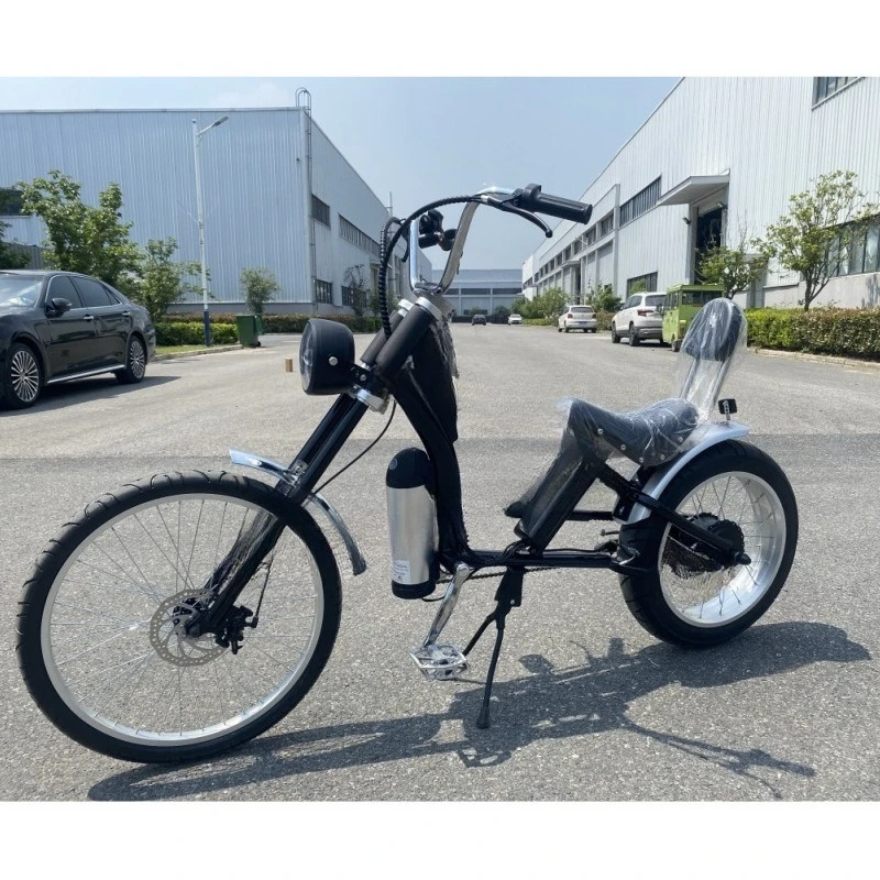 

High carbon steel leisure and comfort station wagon lithium battery brushless motor to assist the bicycle