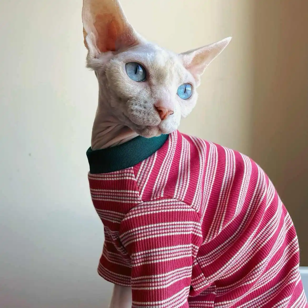 Cat Clothing Spring Yellow Cotton Striped T-Shirt for Sphynx Cat Fashion Green Blue Soft Coat for Abyssinian Cat in Autumn