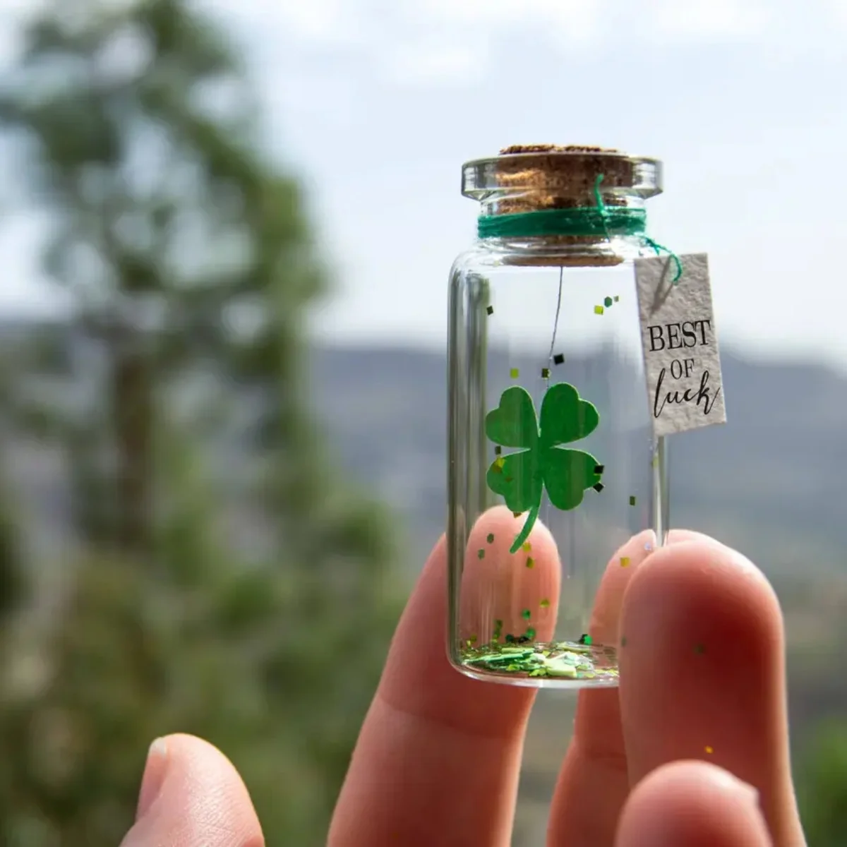 

Подарок на удачу Лучшее удачу Удача с экзаменами Новая работа Конюшина Крошечное сообщение в бутылке Миниатюры Персонализированный подарок