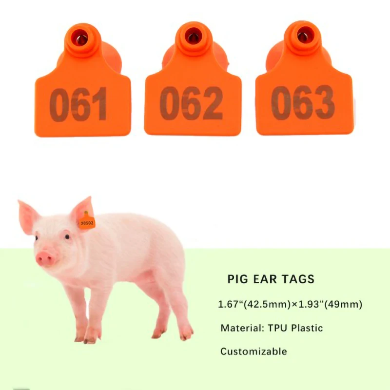 Plastic TPU Identification Label, Livestock Supplies, Pig Ear Tags, Farm Animal Eartags, Cow, Cattle, Goats, Sheep, 100Pcs