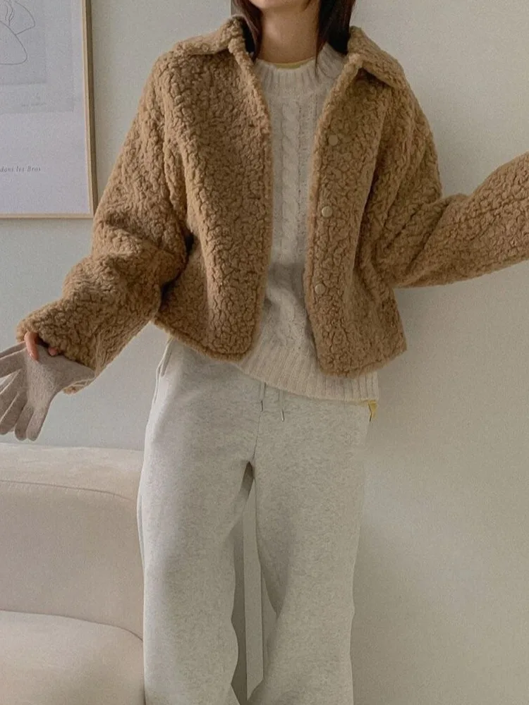 Manteau coréen élégant en fourrure d'agneau pour femme, anti-âge, à revers, à bouton unique, en cuir et fourrure intégrés, Aosphere