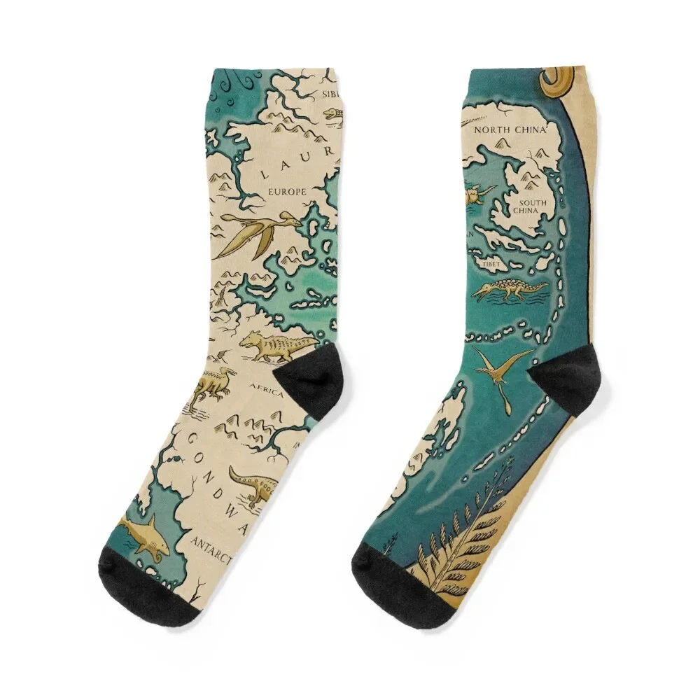 

map of the supercontinent Pangaea Socks Men's football designer hiphop Socks Men's Women's