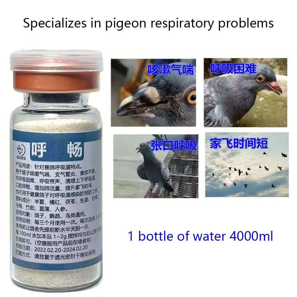 Pigeons with Respiratory Problems Will Not Fly High Soon Dedicated To 100 Feather/bottle