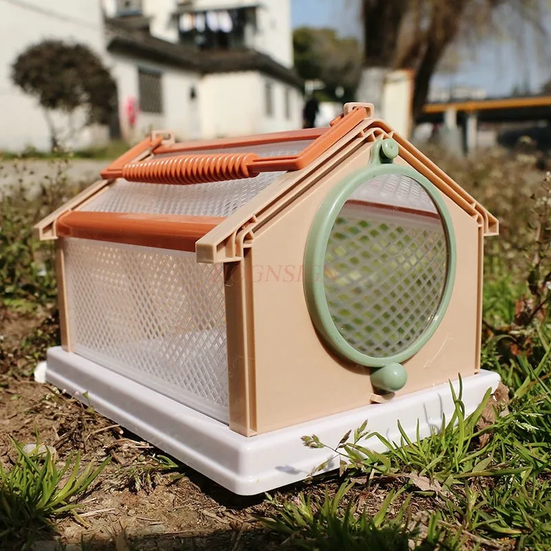 Butterfly pupa can hatch, portable insect cage observation box, butterfly cicada, dragonfly breeding cage collection box
