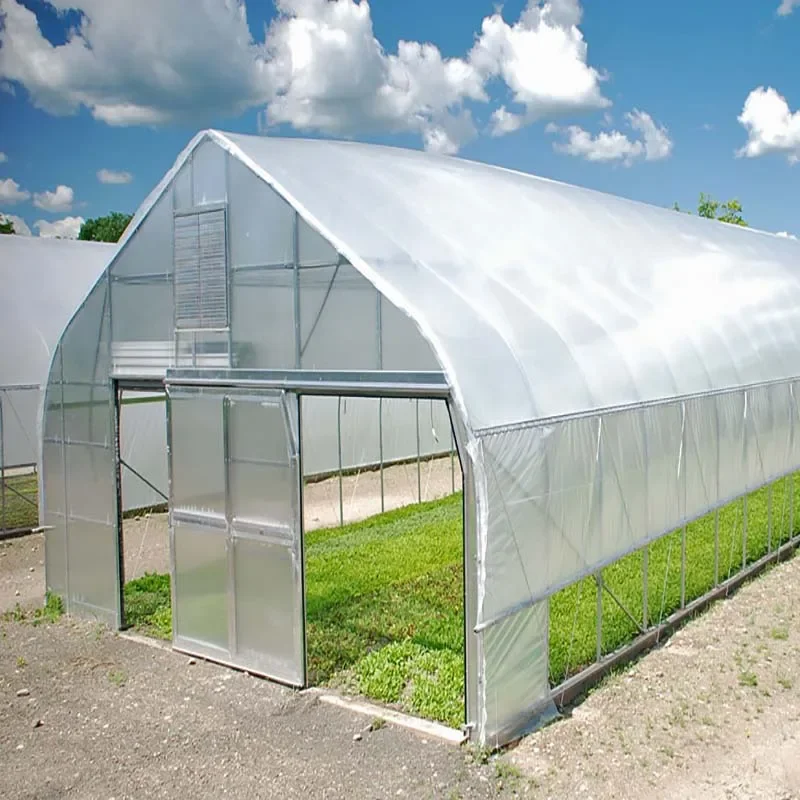 Low Cost Commercial Farming Plastic Green House Metal Frame Structure Single Span High Tunnel Agriculture Greenhouse For