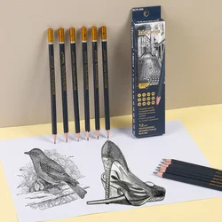 12Pcs Professional Charcoal Sketch Pencils Set 2H-8B for Drawing Shading Blending Sketching Ideal for Artists Black Art Supplies