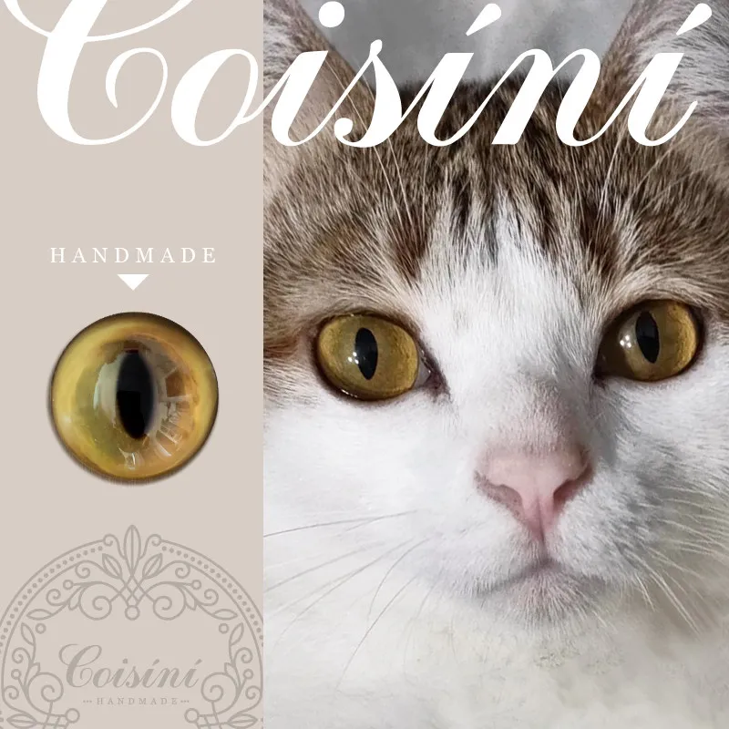 

10 pairs Original/wool Felt/handmade/animal Eye Simulation Glass Eye