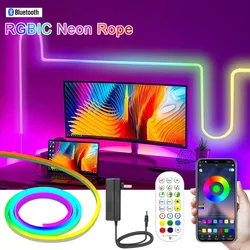 Waterproof Smart Dreamcolor Led Neon Strip 5m 10m 96Leds/m RGBIC Neon Led Tape Flex Music Sync App Bluetooth Control Decoration