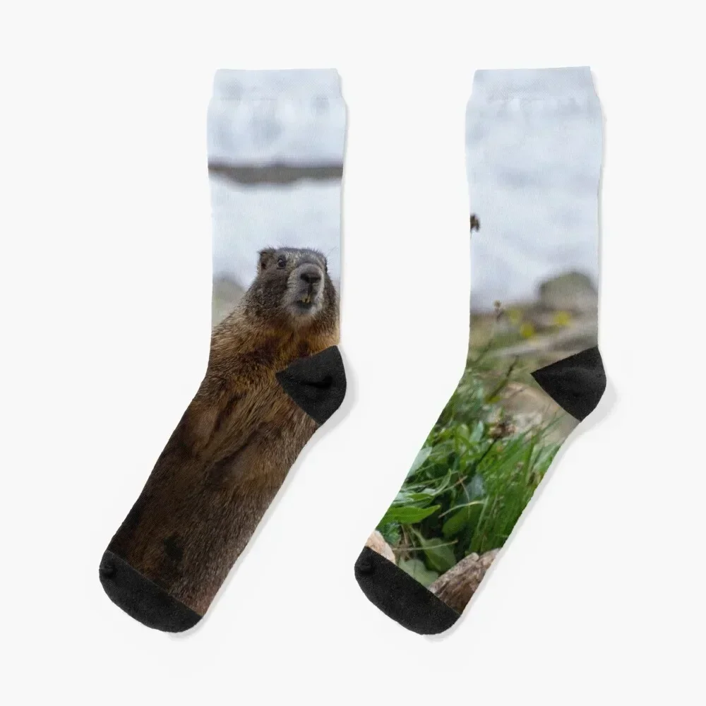 Standing Marmot Socks Run Stockings compression short Socks Women Men's