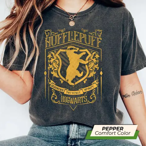 Vintage Wizard House Sweatshirt, Hogwarts House Hoodie, Magic School Sweater, Gift for Harry Fans, Cozy Potter Pullover