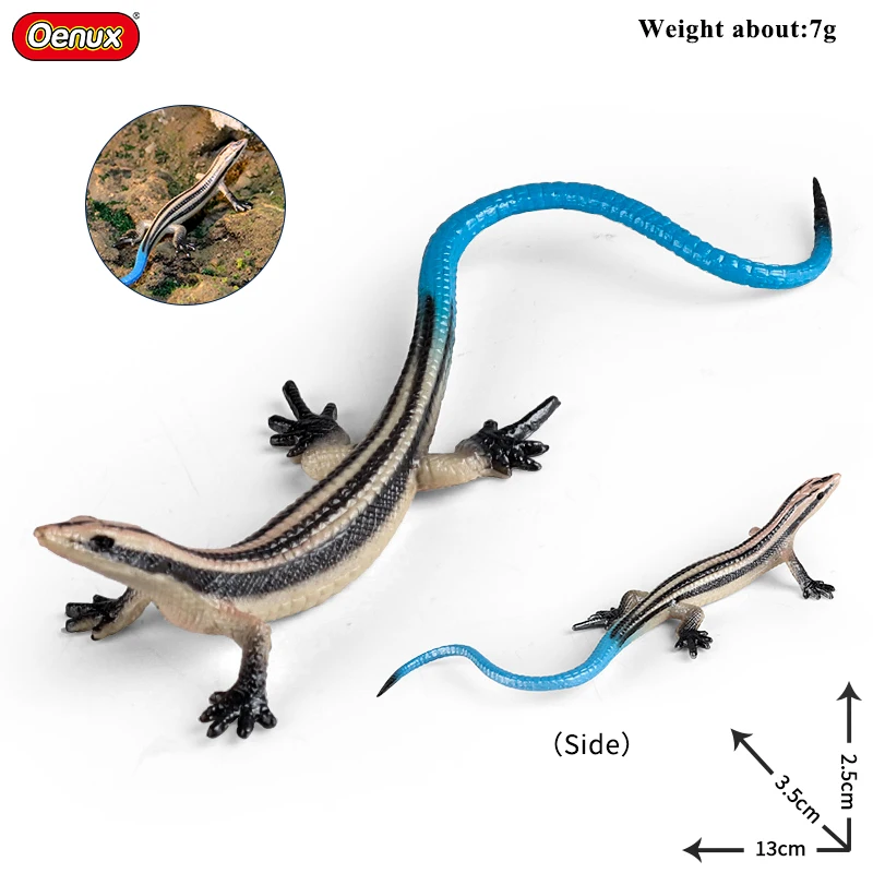 Oenux Reptile Model Mini Wild Ostriches Lizard Chameleon Frog Bird Forest Animals Action Figure Collection Cute Toys Kids Gift