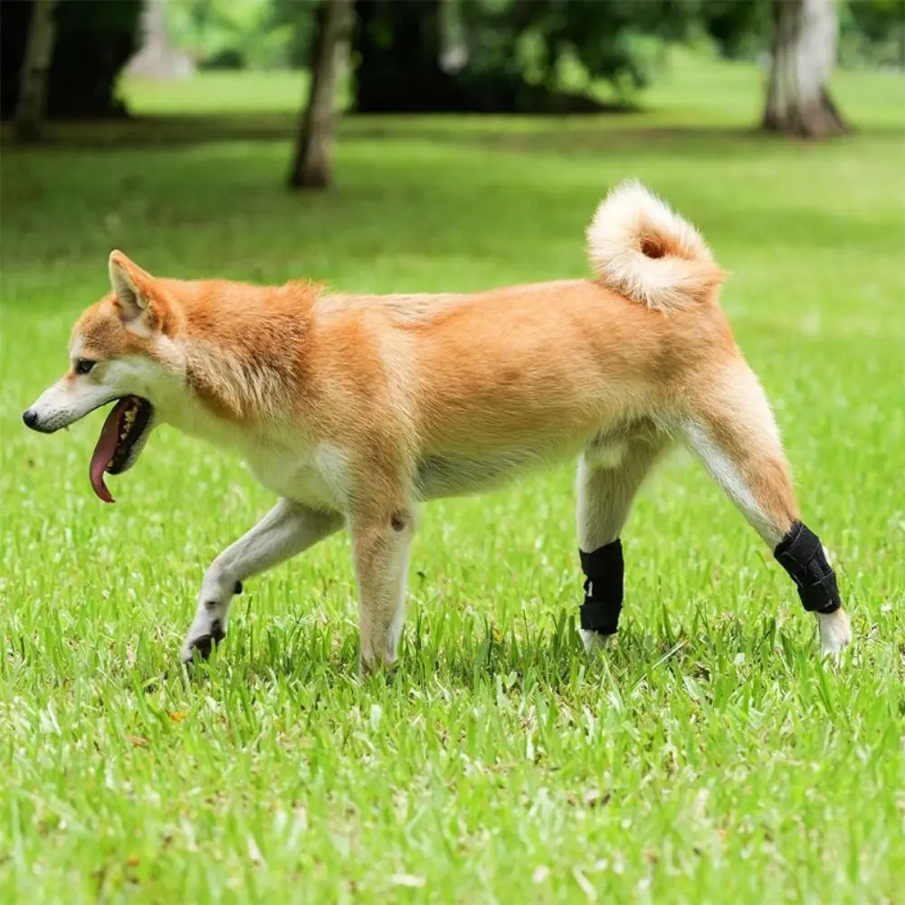 Comfortable Lightweight Dog Leg Brace Breathable Reusable Dog Hock Brace Adjustable Dog Leg Support Post-Surgery Care