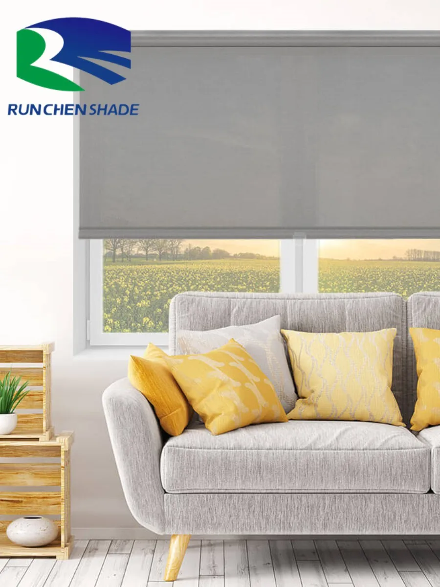 ZSHINE Day and Night Dual Layers Motorized Roller Blinds Shades with Valance Remote Control Sunshine Fabric