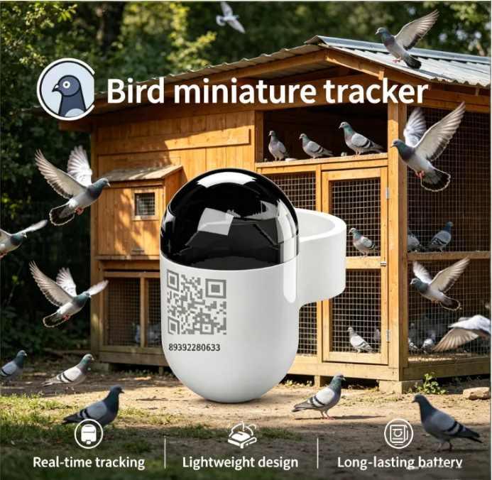 Pigeon GPS Locator for Outdoor Flying-- New Waterproof Mini Real Time Pigeon GPS Locator with 4G Network
