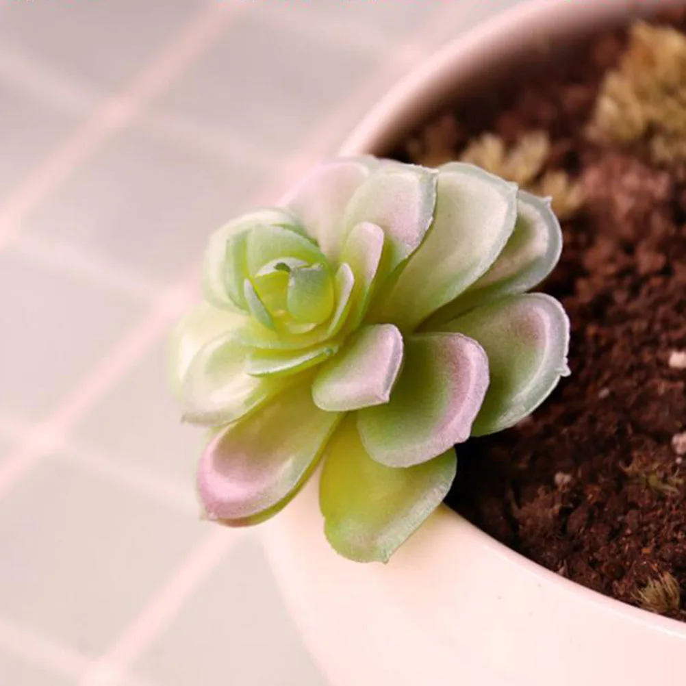 

Simulated Succulents Artificial Fake Plants Cactus Ornament Picks Indoor Decor Plastic Long Lasting Eco Friendly Safe