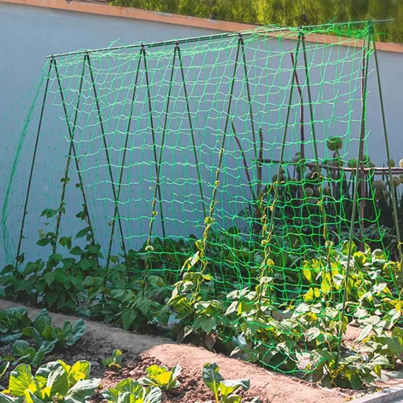 High-quality Garden Climbing Netting Strong Nylon Plant Trellis for Climbing Plants Loofah Morning Glory Flowers Cucumber Vine