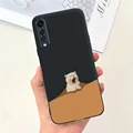 case-c13