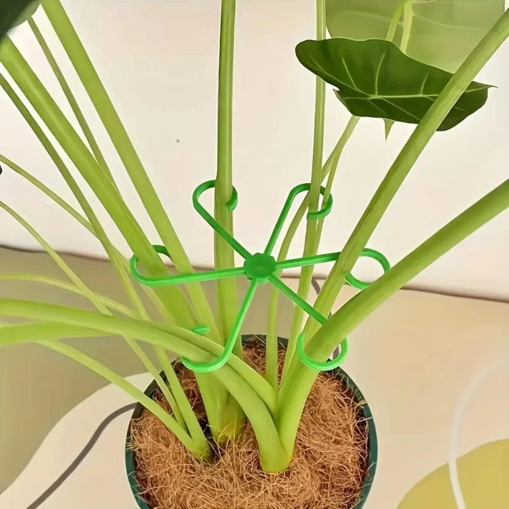 4Pcs Plant Stem Support Clips, Horticultural Plant Fixing Clips for Monstera, Hydroponic Tree Branch Holder