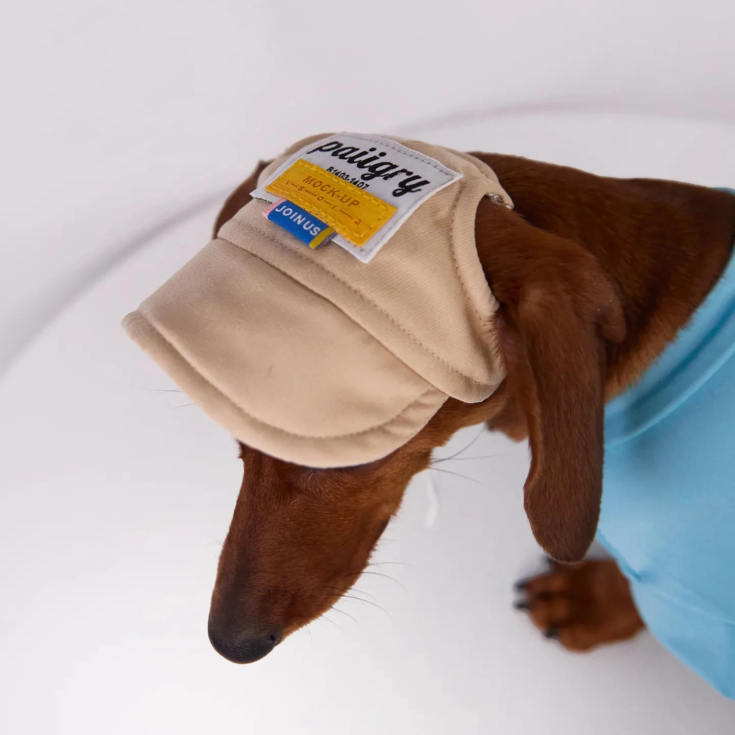 Sombrero verano protección solar perro salchicha ajustable velcro - imagen 5