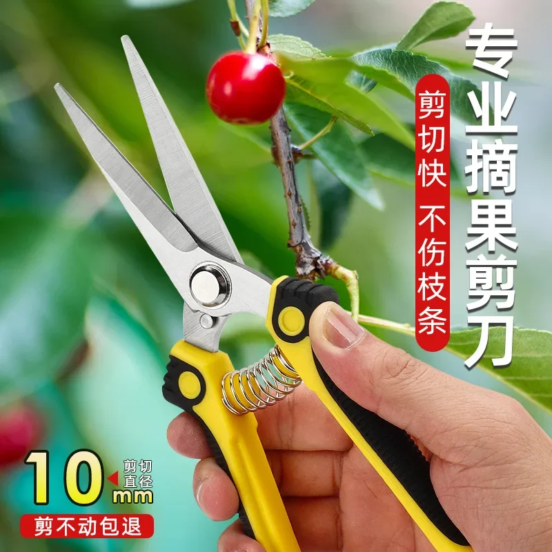 

Ultra Sharp Straight Stainless Steel Blades Garden Scissors For Flowers & Fruits Harvesting Gardening Hand Pruning Shear