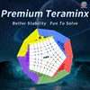 Picube DianSheng Galaxy Teraminx 마그네틱 스티커리스 7x7 매직 큐브 Megaminx 스피드 퍼즐 장난감, 어린이용 2