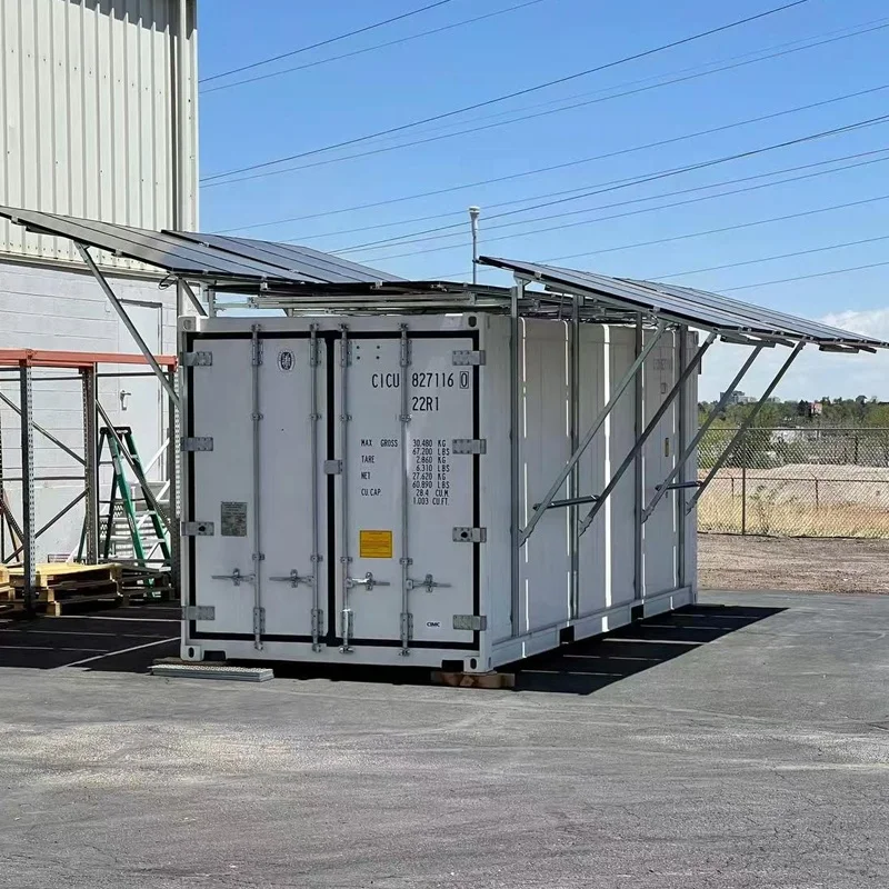FL Solar Powered Refrigerated Container adjustable temperature setting for rural farm mobile cold storage container device