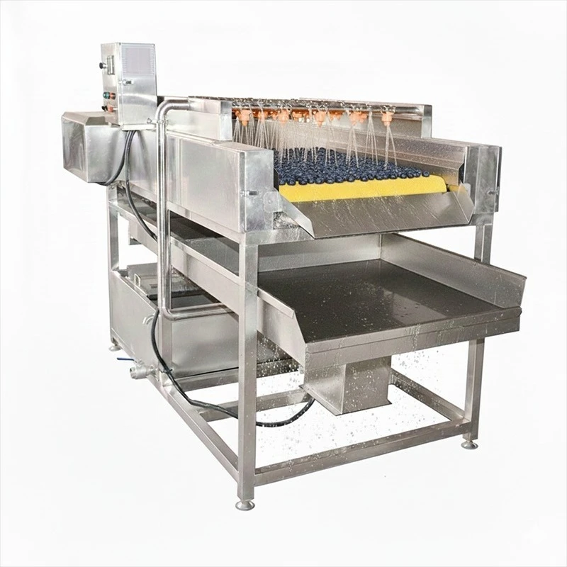 SUS304 Parallel Bristle Roller Industrial Vegetable & Fruit Washing Machine with Motor High Capacity Water Processing Equipment