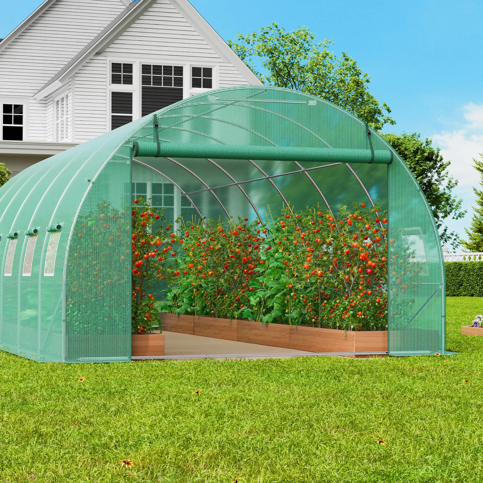 

Walk-in Tunnel Greenhouse 19.36x9.68x6.5ft Galvanized Frame PE Cover Green