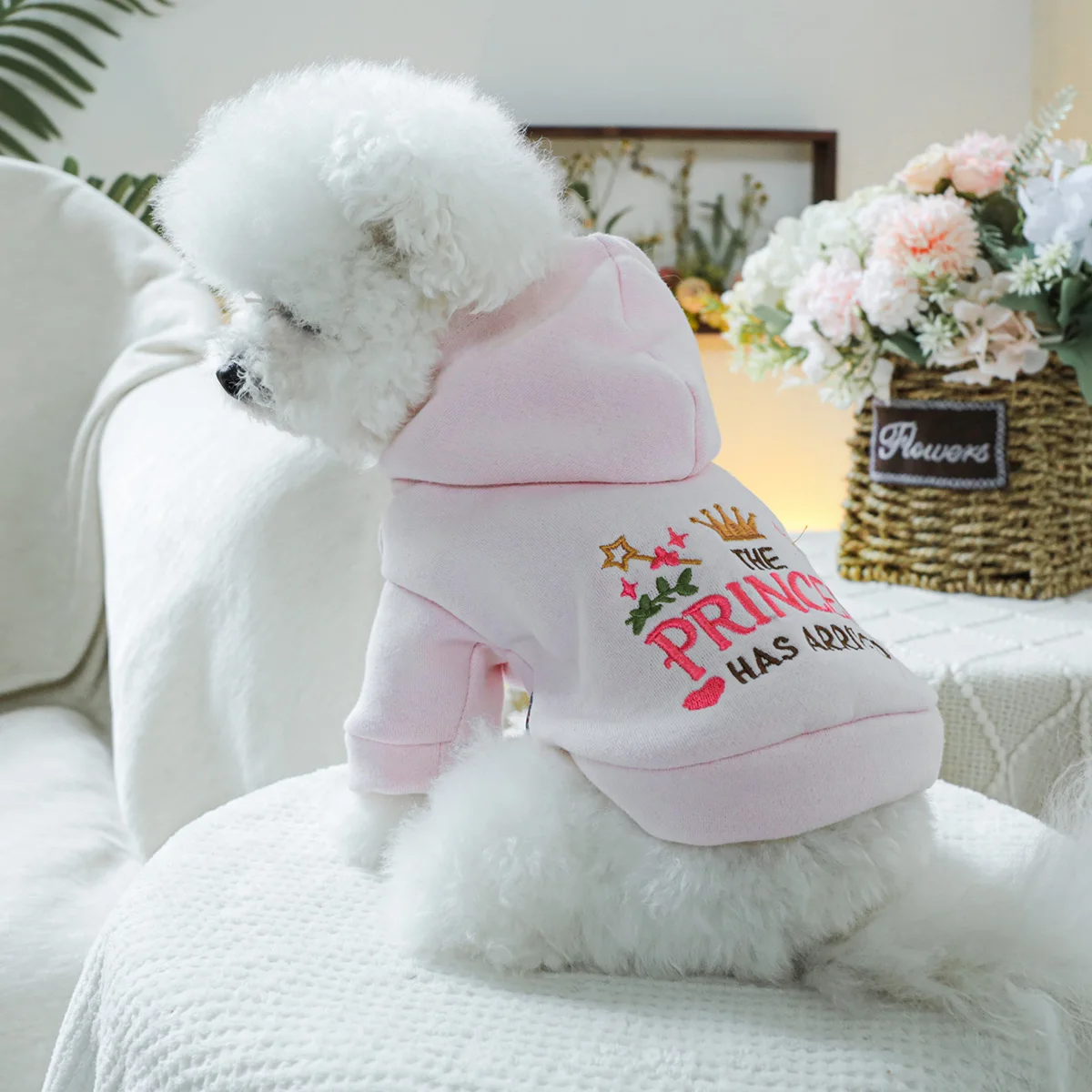 1PC Pet Clothing Spring and Autumn Velvet Pink Little Princess Hoodie Hat Hoodie Suitable for Small and Medium sized Dogs