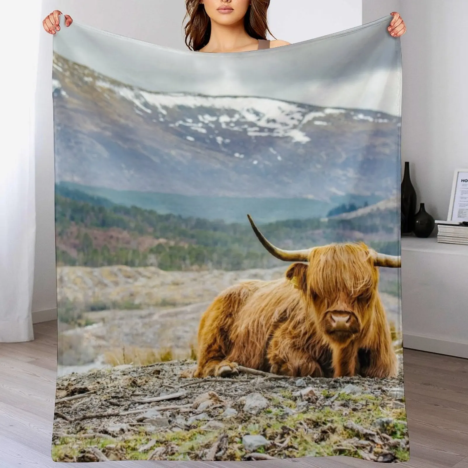 

Hairy Higland Cow - A cute and gift for a Scotland lover Throw Blanket Sofa Furrys Large Loose Blankets