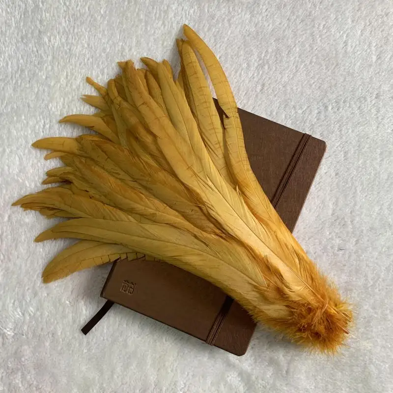 Rooster Tail Feathers Gold Beige Champagne 100pcs 25-45cm Natural Plumes Red Yellow DIY Cock Clothing Jewelry Accessories Party