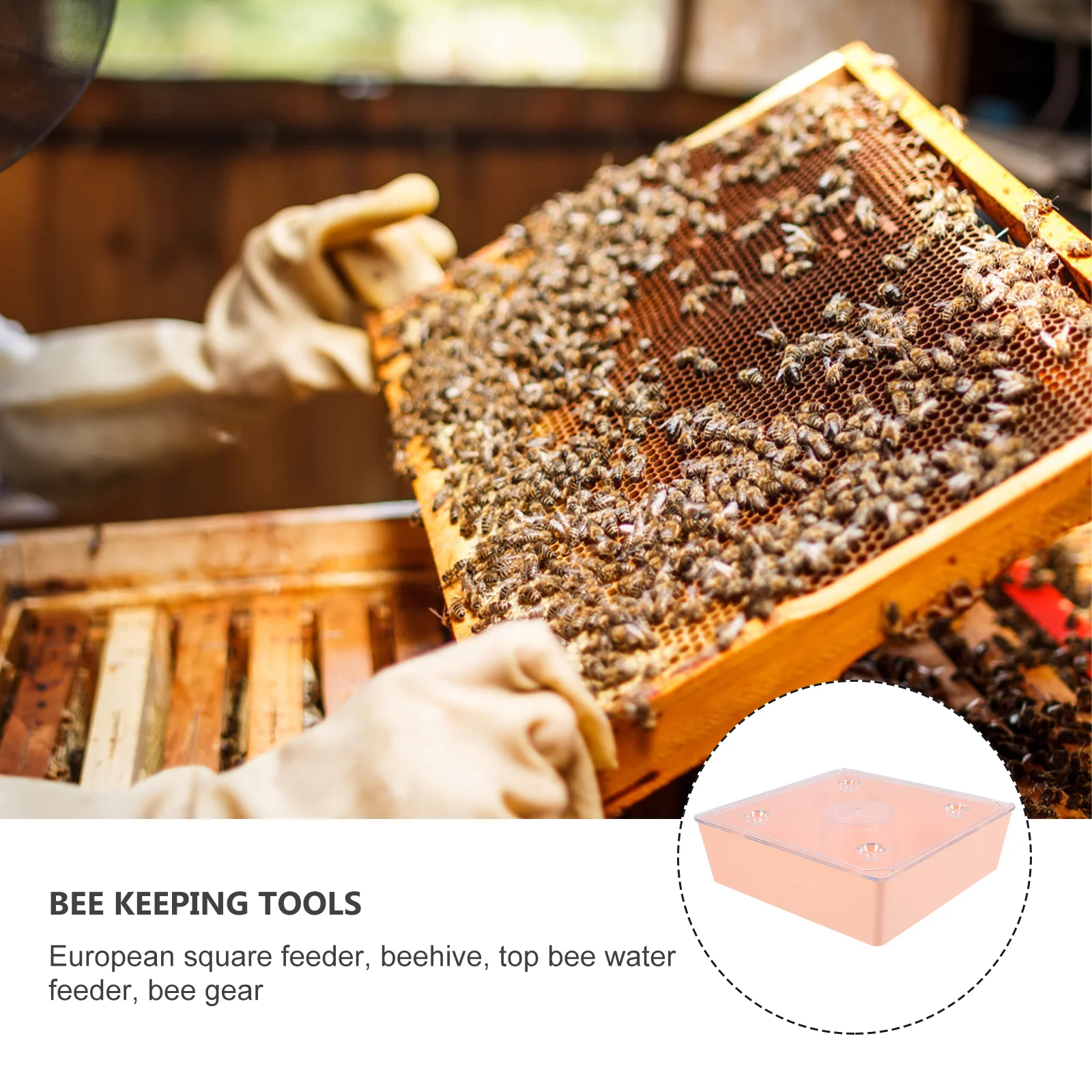 

Кормушка для пчелиной воды 1,6 л, прочный прочный инструмент для пчеловодства, пластиковое оборудование для кормления, уличный улей, вход, дизайн с маленьким отверстием