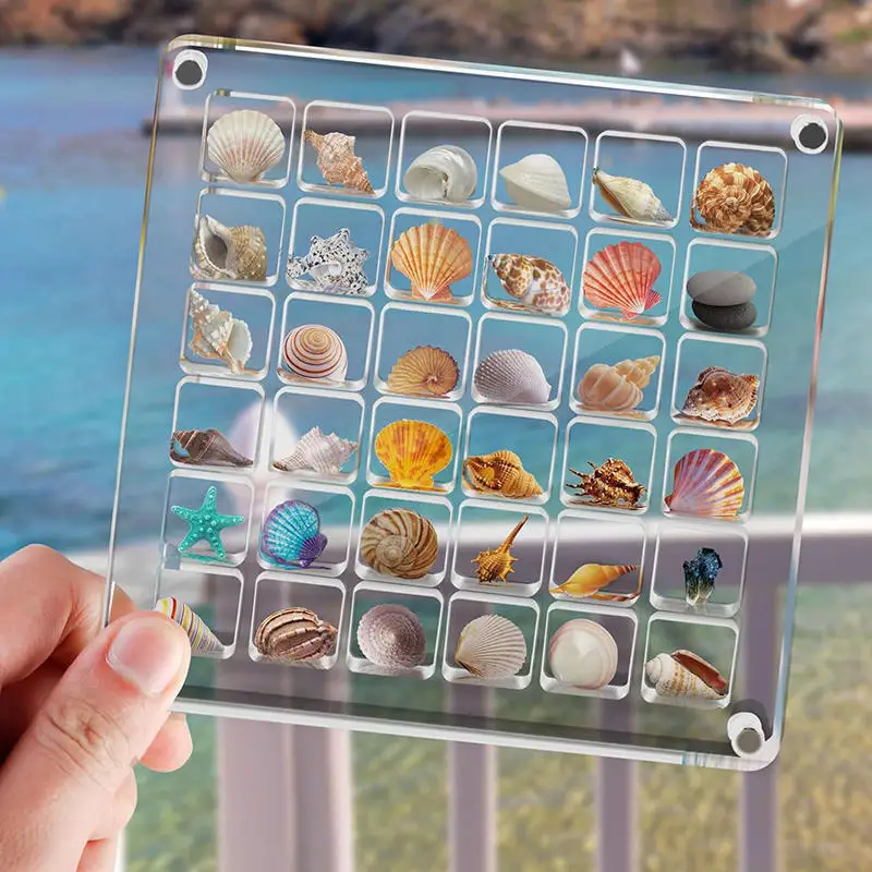 Acrylic Magnetic Seashell Display Box Seashell Display Diamond Storage Box Small Craft Organizers Compartment 36 Grids 2025