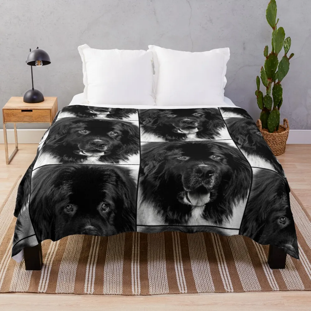 Newfoundland Dog Portrait in Black and White Throw Blanket custom blanket double-sided blanket heavy blanket