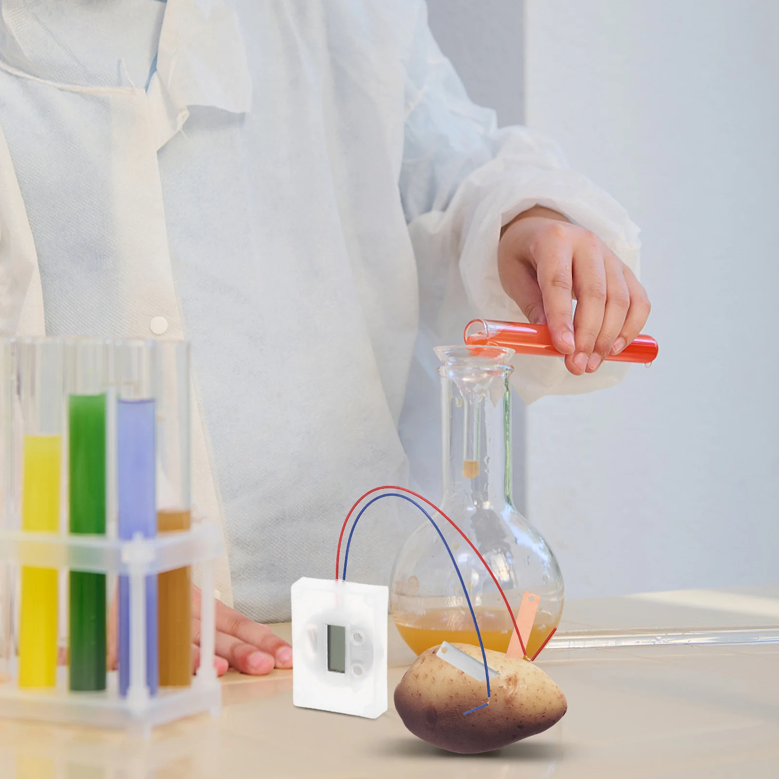 

2 set Fruit Experiment Kit Metal Diy Science Project Educational For Students Making Set Potato Clock Device