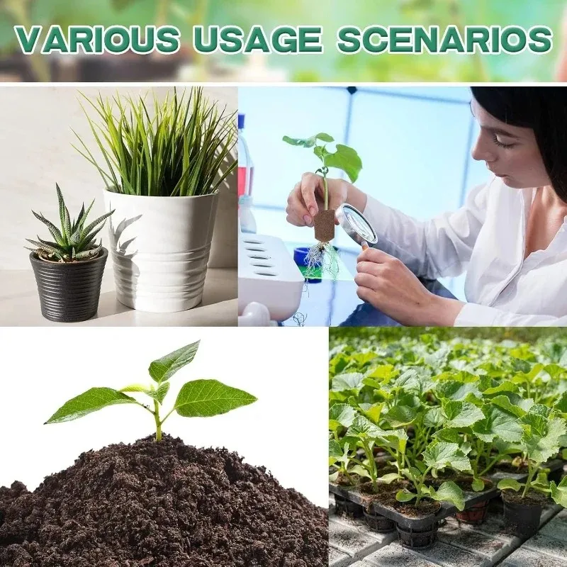 2026 user friendly grow sponge seed pods practical root growing design hydroponic starter plugs for plant seedling cultivation