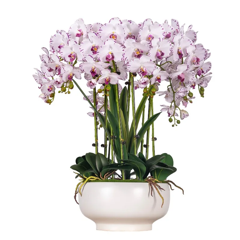 Simulated Phalaenopsis Large Pot Plastic Fake Flower Living Room Dining Table with Floral Decorations