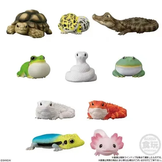 Japanese Bandai Genuine Scale Model Palm Animal Tortoises Caiman Crocodiles Rain Frogs Maned Lion Lizards Action Figure Toys