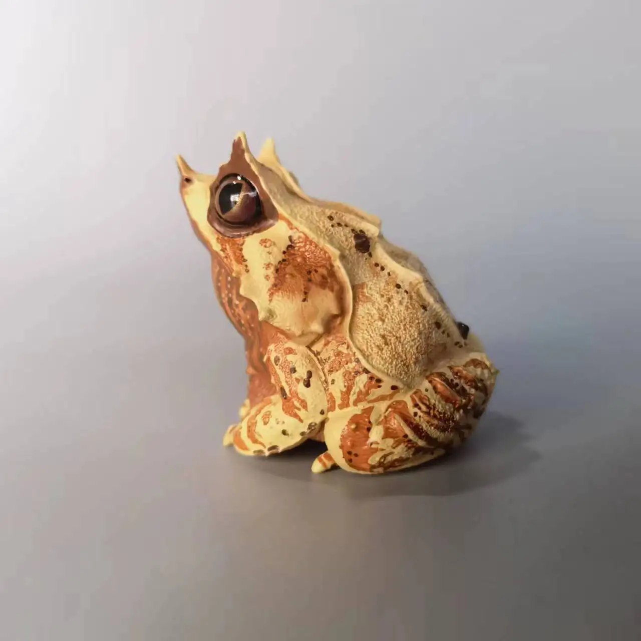 1pcs Small Size Megophrys Nasuta Frog Chacophrys Pierottii Oophaga Pumilio Bastimentos Animal Toy Figure Model With Retail Box