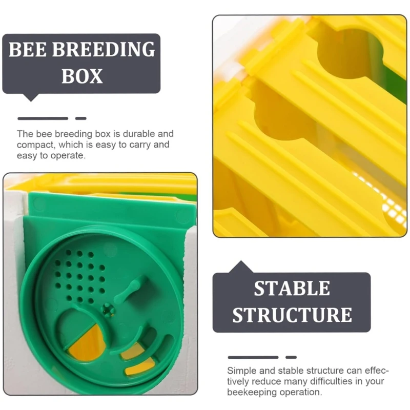 Boîte d'accouplement d'abeilles, dispositif apicole, boîte d'élevage d'abeilles en plastique, boîte d'élevage d'abeilles